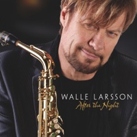 Walle Larsson - Beaches