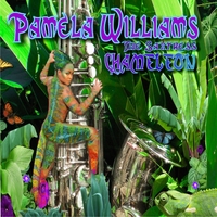 Pamela Williams - Chameleon